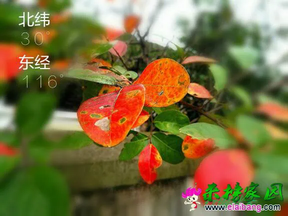 121831aff690wnpwfd8fmw.webp