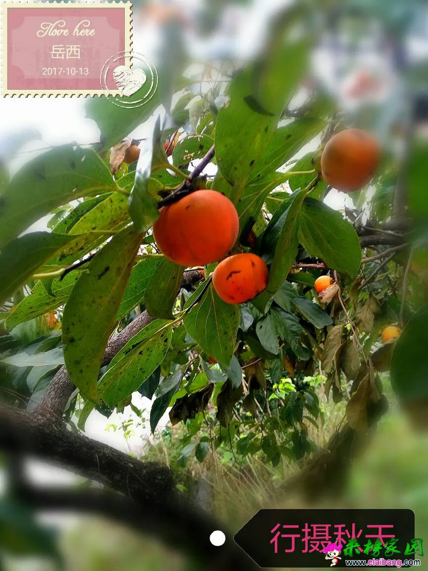 163238wkwzvwvge95kvzhk.webp