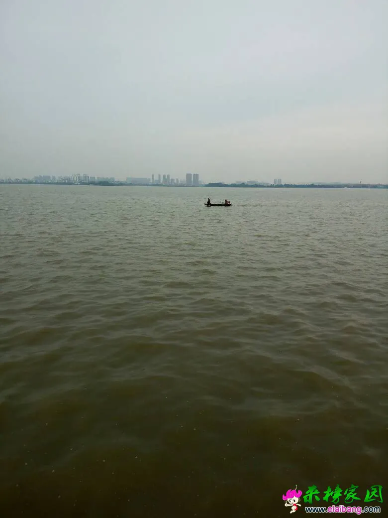 162859sbboq9azd9f59ml5.webp