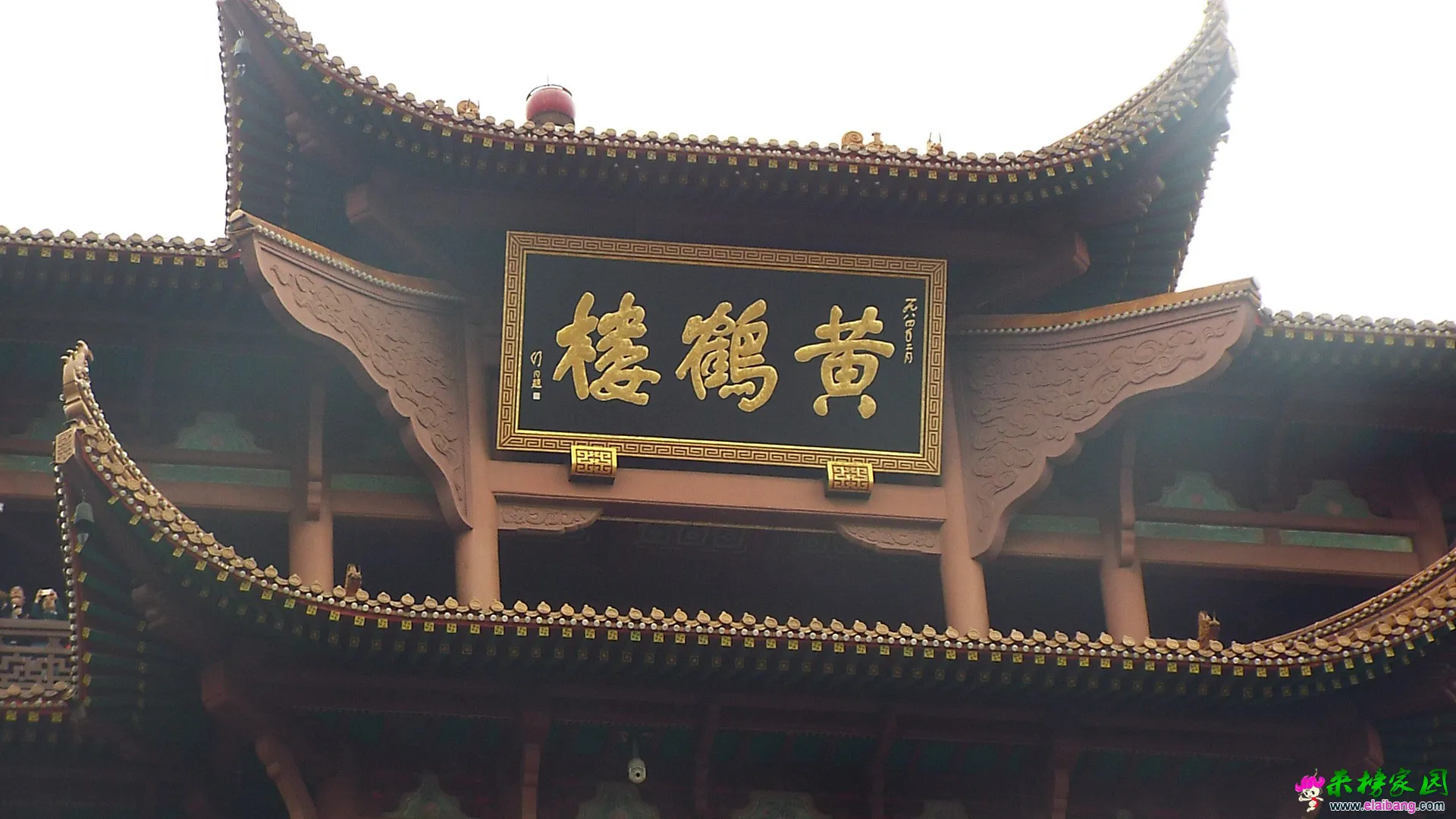 照片 168.webp