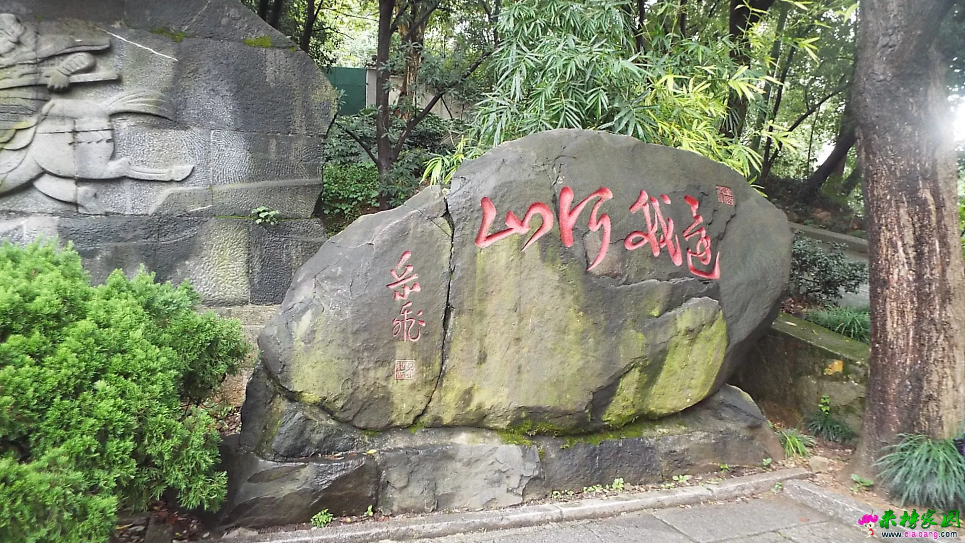 照片 282.webp
