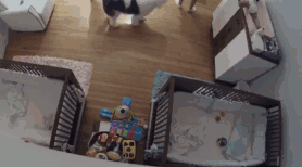 b66f0a5715d0b5c5c3b319ecdd254db2.gif
