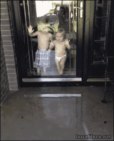 8f340de4df0a81cbb04276c7753e2e57.gif