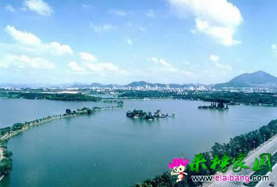 976ef689ab8441da82fb85c6b6b86531.webp