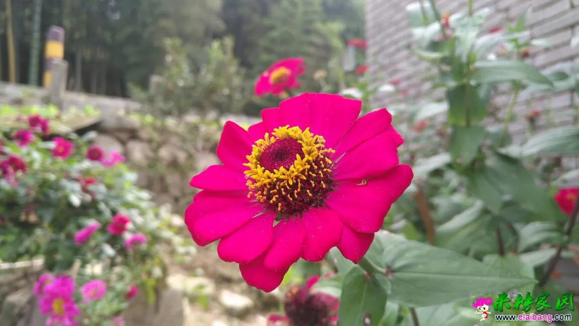 141822ywvxohwieiwc98aa.webp