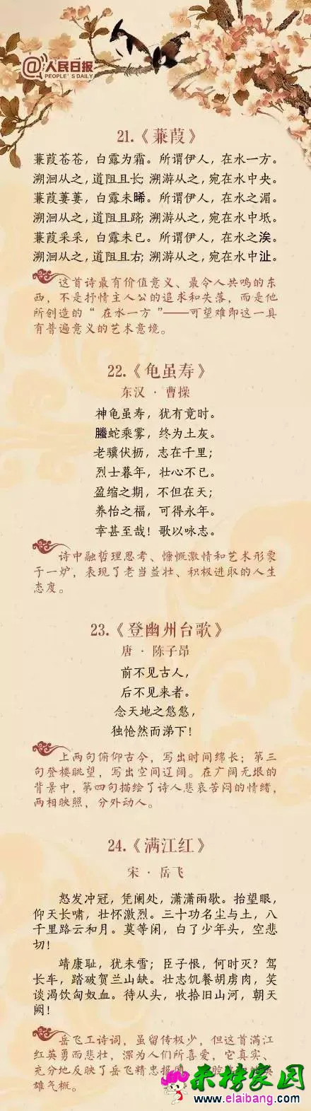 7417d8b7210bc774306d69605ccdb186.webp