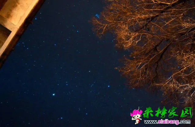 ed6964414ccacced49e4d83bf8298727.webp