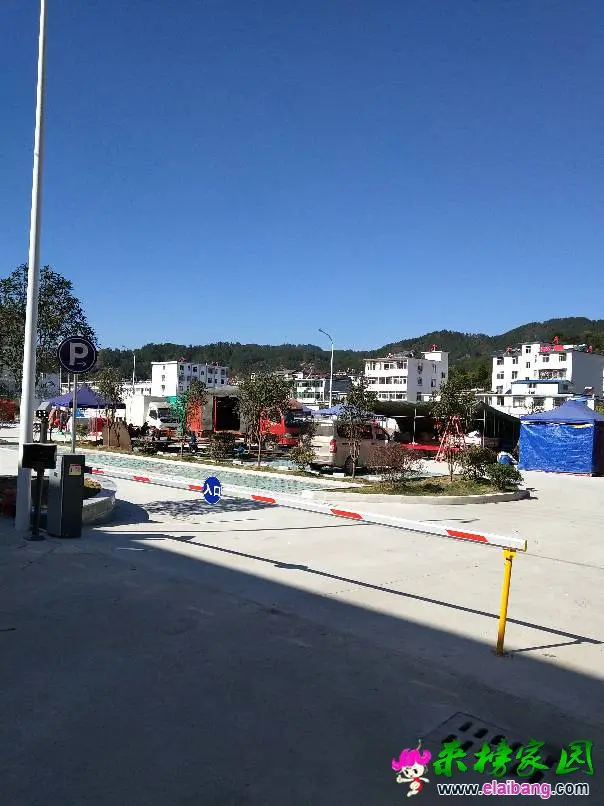 154448m69tkd2kv6t297jk.webp