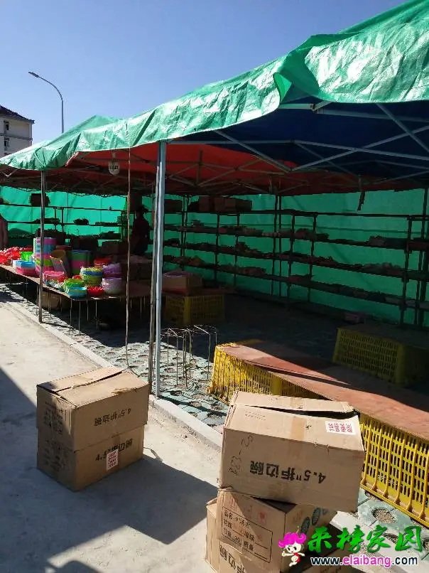 154456nrto5q51880z8cq2.webp