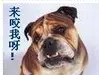 14.webp