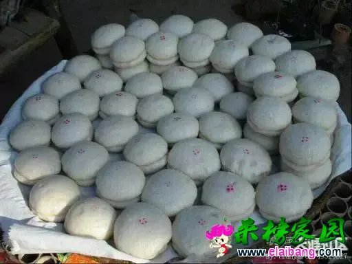 b6c6dae72a0cb95d519814de50694543.webp