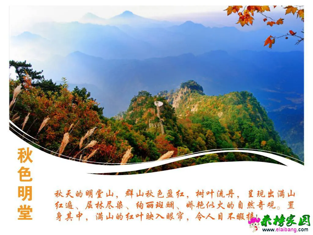 58112b4ff4dea9eeb095c73b8b8e670c.webp