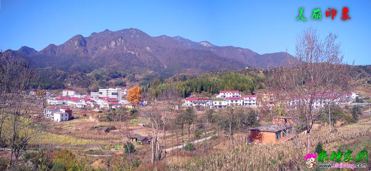 横河风光全景.webp