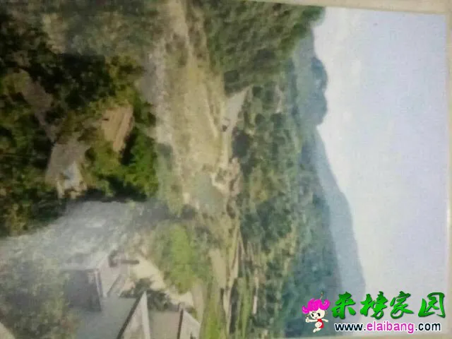 124852hzshviws9s8sfziw.webp