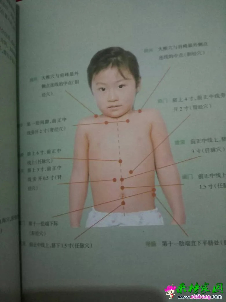 082824ttvztkjkkjeleqtt.webp