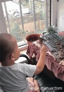 4929df792384b74cec9196605aae1952.gif