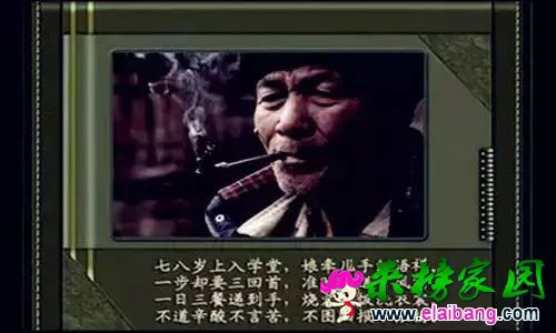 100c32ff60555c8c7469c1cea3029393.webp