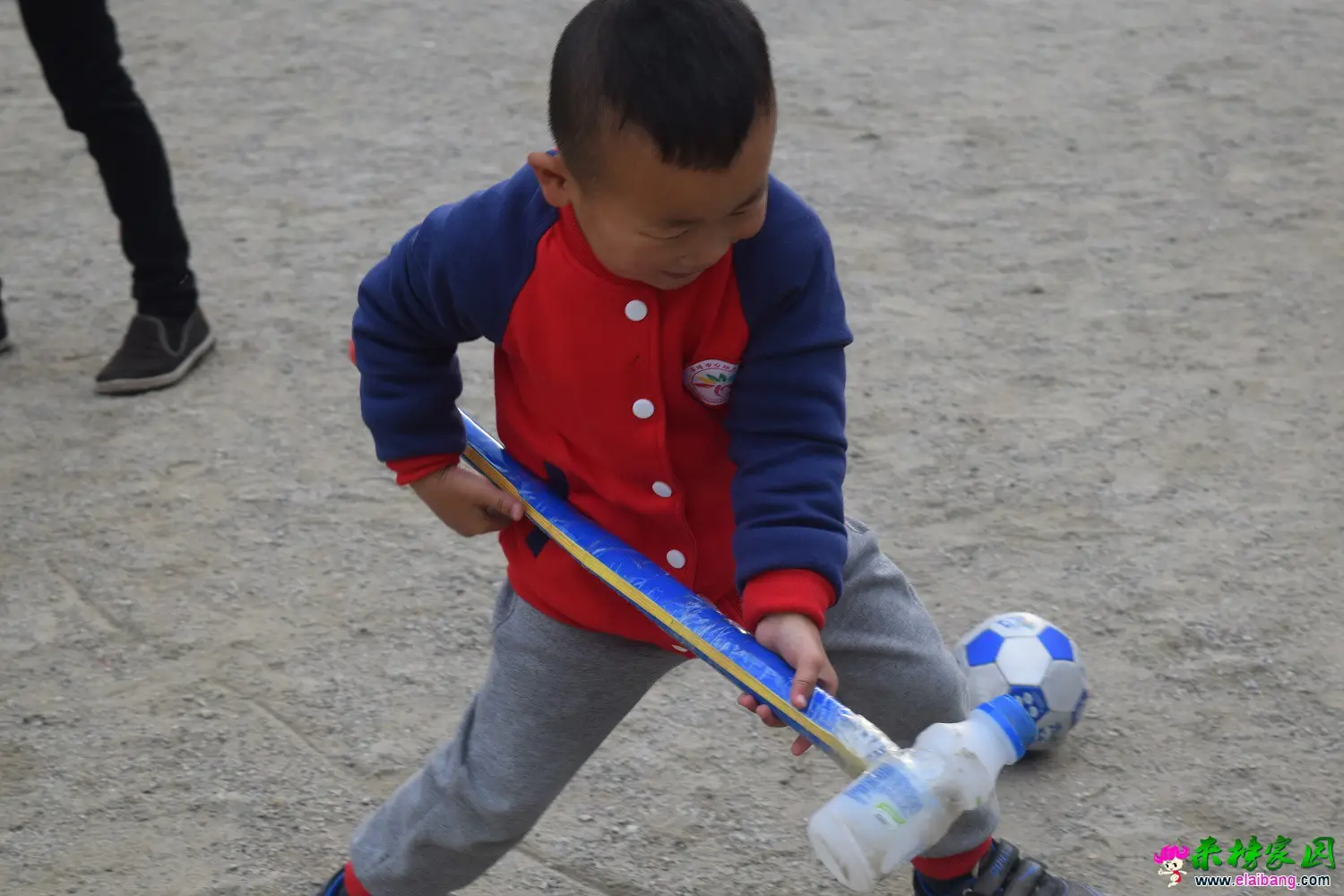 DSC_0079.webp