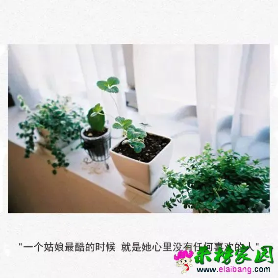 b34d6a4cc24b9ccad68a60bd1dc9bb90.webp