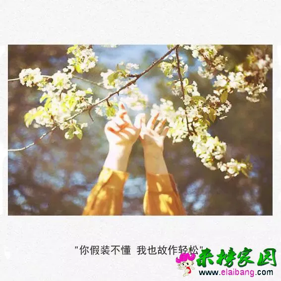 559b34d18326c320c13388773d247896.webp