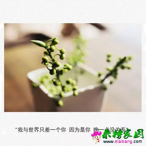 18551160f929302a37513804fe5b27ae.webp