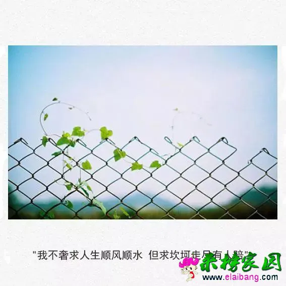 083d0709158128f85a67e1f58b3dbd9b.webp