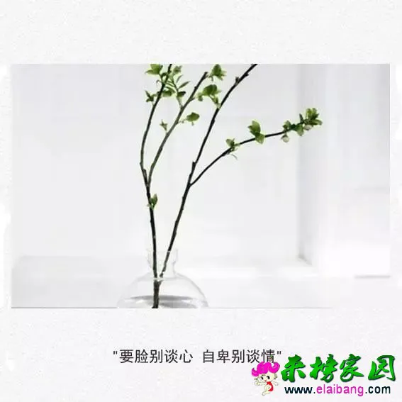 2ca0b643cb0417cf144a3958dcdba125.webp