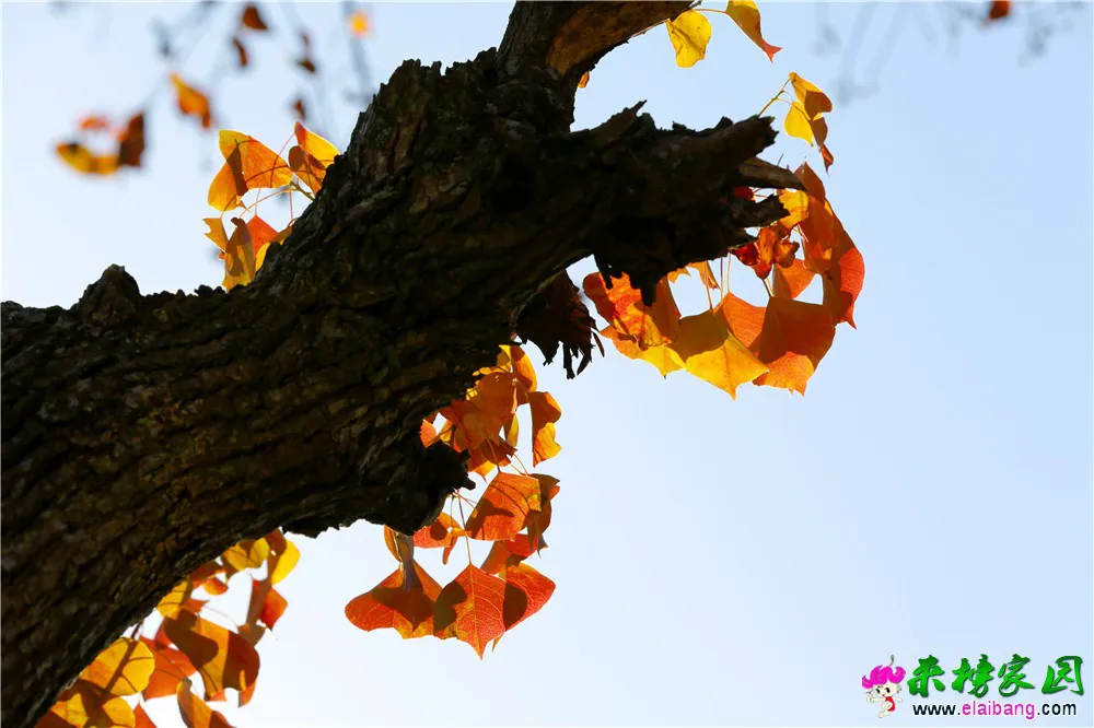1 (7).webp