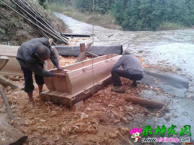 46ea000436296e6b9634.webp