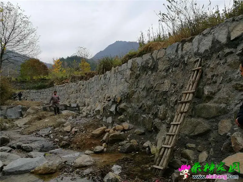 微信图片_20171119204836.webp