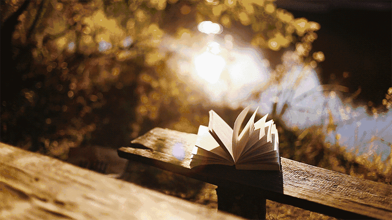 595ec92c733920f9ea06aecc53712256.gif
