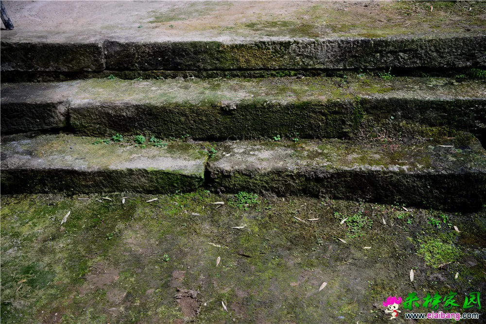 IJH_7295.webp