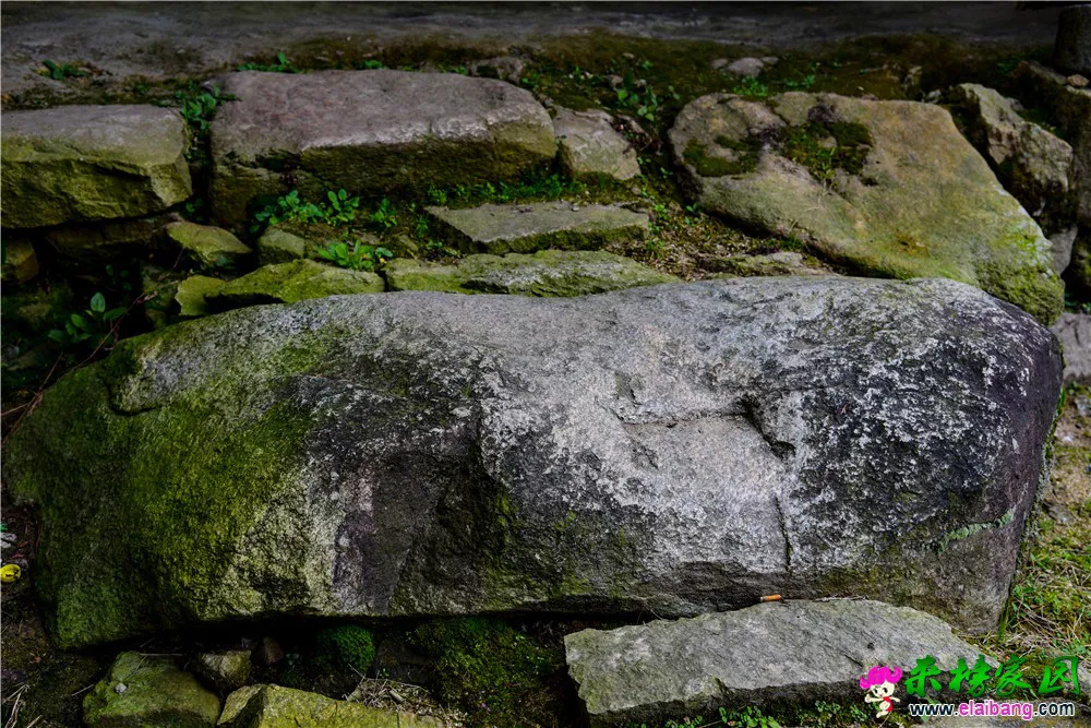 IJH_8340.webp