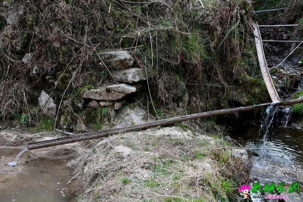 15.webp