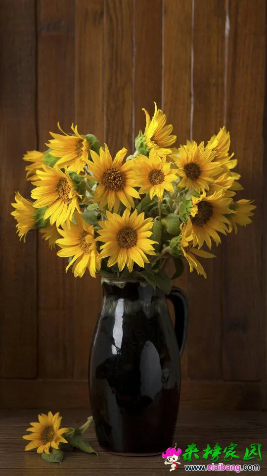 131956p91kx3dfoy9nz1dn.webp