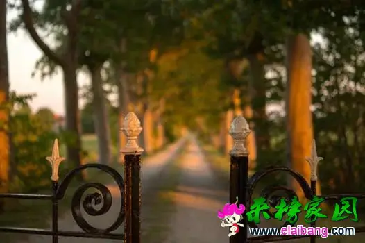 a6285f4931af896f1d8954accb7c342c.webp