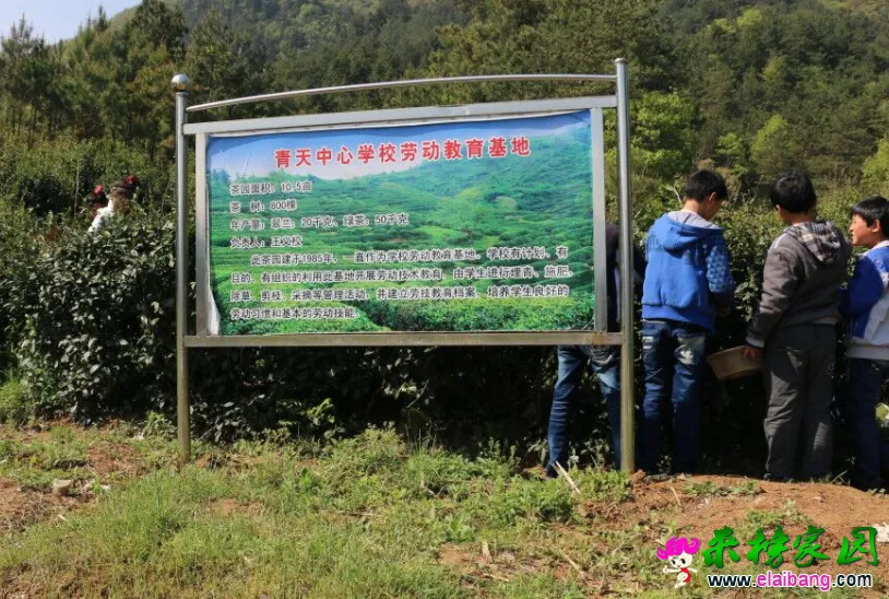 QQ图片20171201184735.webp