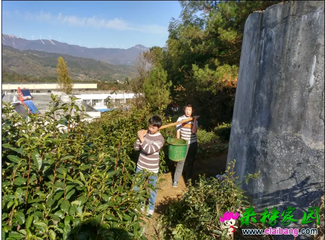 QQ图片20171201185224.webp