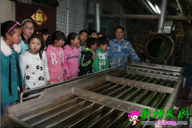 QQ图片20171201185320.webp