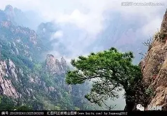 2effca6bdc80aeacd97b964d16f16588.webp