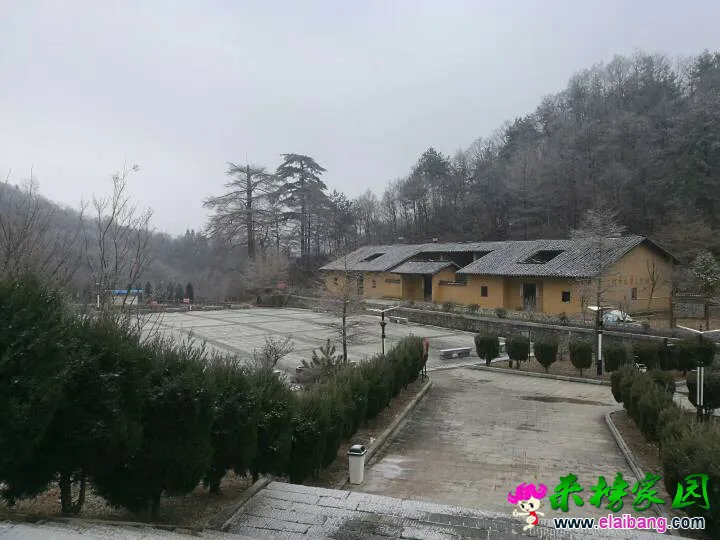 171348m8mbkcgb8r91q94l.webp