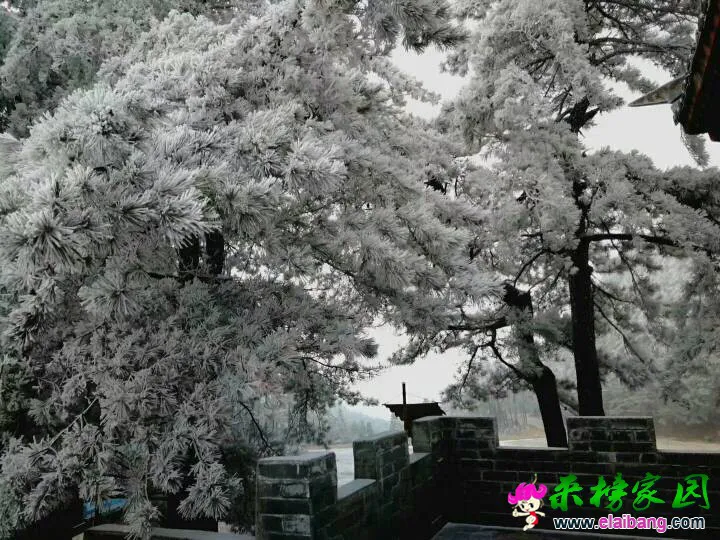 171352x9hb5tjdghitg7iz.webp
