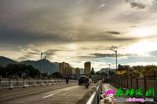 fe5c047a8ea416bf4091cc7227cbb736.webp