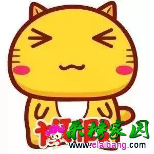 a06cbec9cb91550e396237bb9b710c39.webp