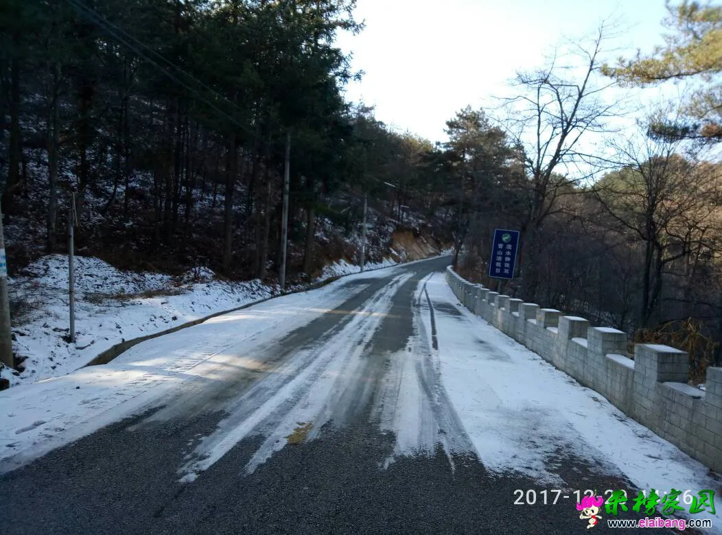 222025rgdlne7hdss49g8l.webp