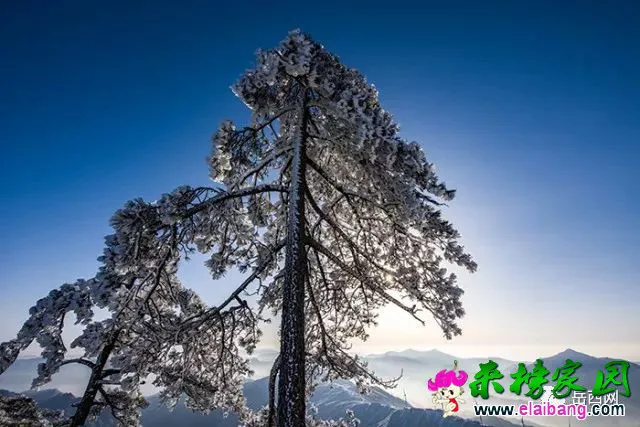 0621e4002c29ce3e1070cce55a4dc171.webp