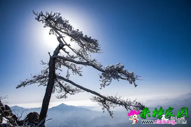 f22979efa696a2168b2806a796fd5710.webp