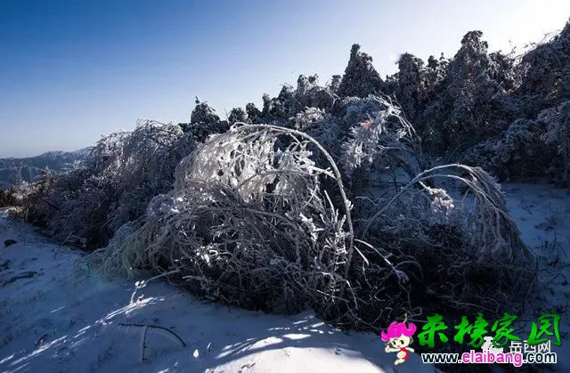 e3b3551cec826a05fa4afec4ade0a0d6.webp