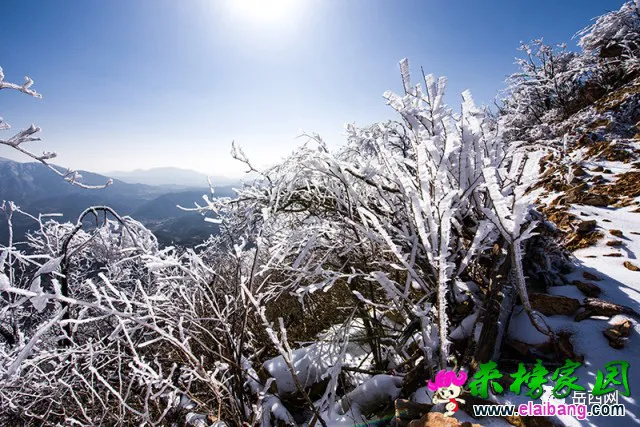 6b665d9c7192cedc6f4cfb5a8aed3360.webp