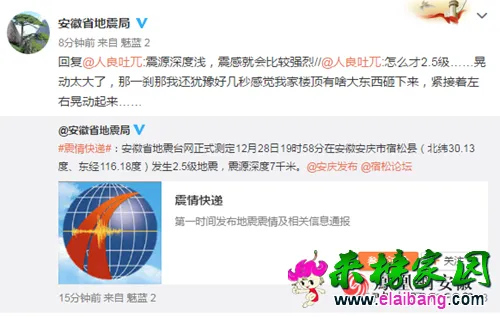 31e033bd45ff53bsize105_w500_h317.webp